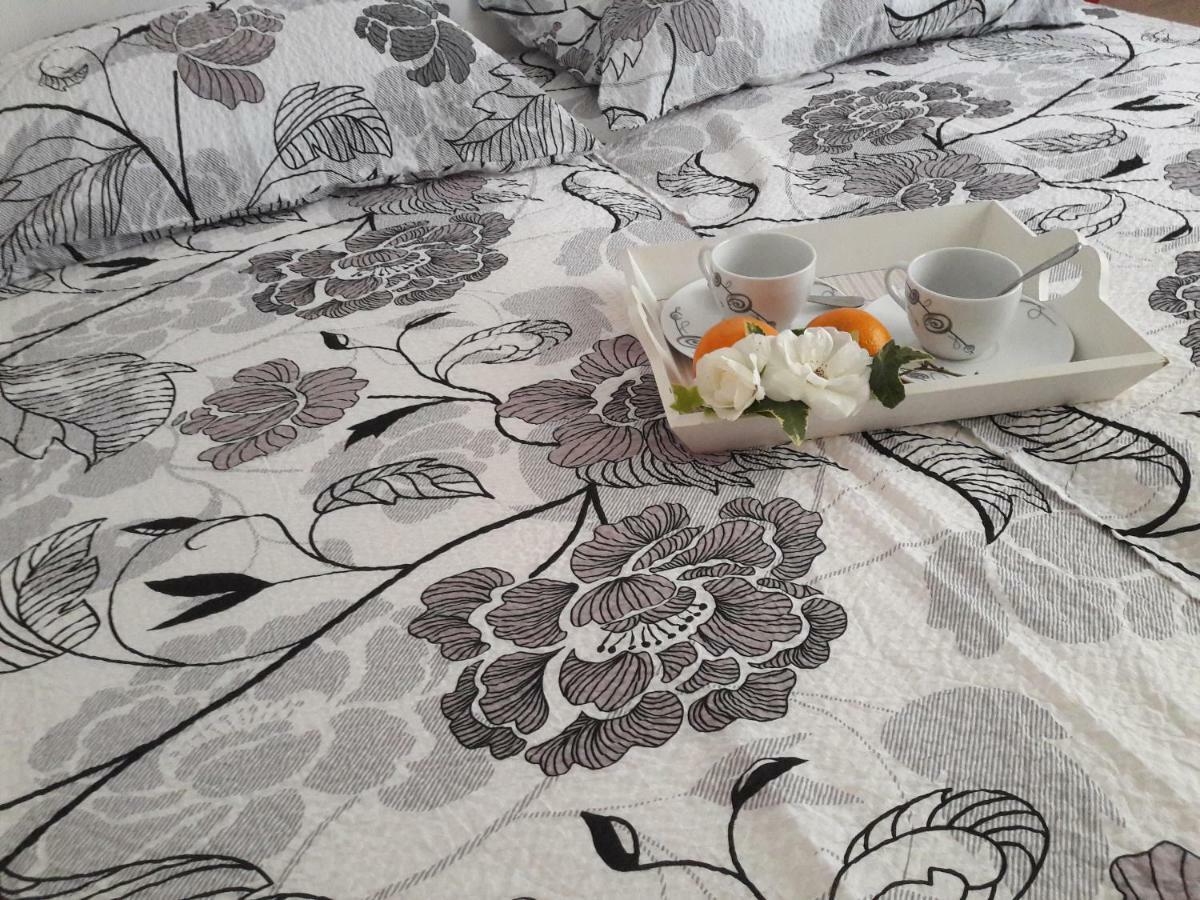 Apartment Danijela I Pula Dış mekan fotoğraf